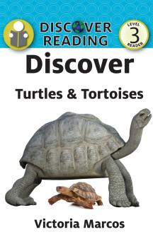 Discover Turtles & Tortoises