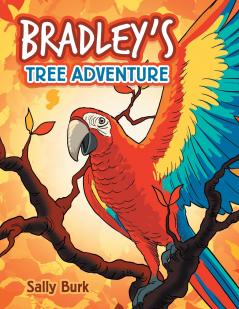 Bradley'S Tree Adventure