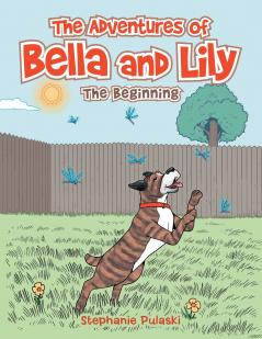The Adventures of Bella and Lily