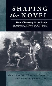 Shaping the Novel