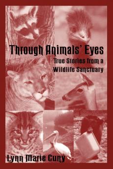 Through Animals' Eyes
