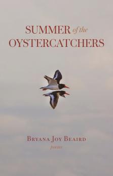 Summer of the Oystercatchers