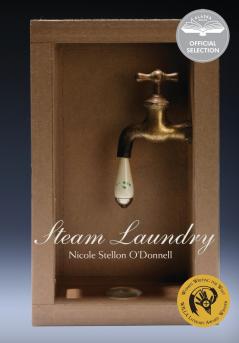 Steam Laundry