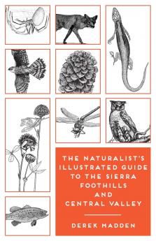 The Naturalist's Illustrated Guide to the Sierra Foothills and Central Valley