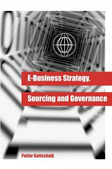 E-Business Strategy Sourcing and Governance