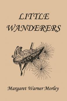 Little Wanderers Illustrated Edition (Yesterday's Classics)