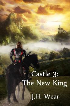 Castle Book 3 - The New King