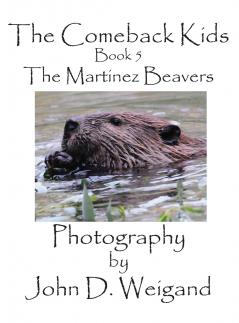 The Comeback Kids Book 5 The Martinez Beavers
