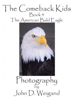 The Comeback Kids Book 4 The American Bald Eagle