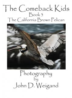 The Comeback Kids Book 3 the California Brown Pelican