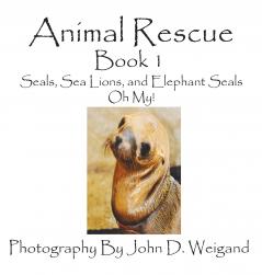 Animal Rescue Book 1 Seals Sea Lions And Elephant Seals Oh My!