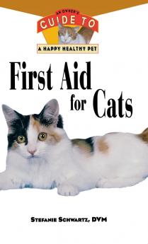 First Aid for Cats