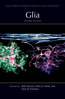 Glia Second Edition