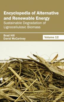 Encyclopedia of Alternative and Renewable Energy