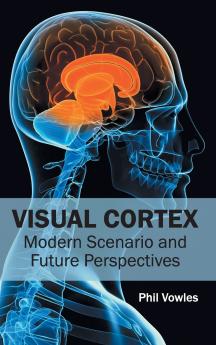 Visual Cortex