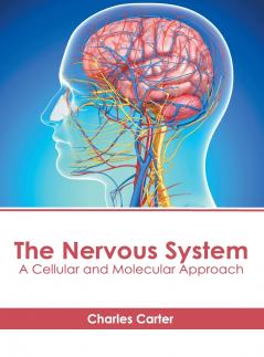 The Nervous System