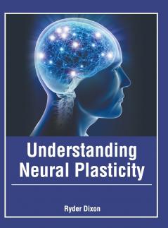 Understanding Neural plasticity