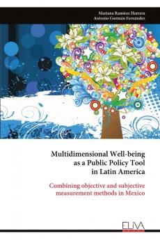Multidimensional Well-being as a Public Policy Tool in Latin America