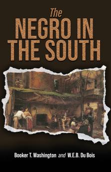 The Negro in the South