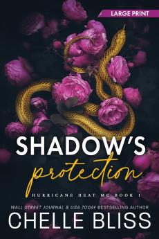 Shadow's Protection