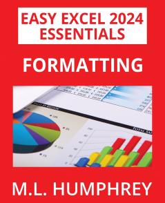 Excel 2024 Formatting