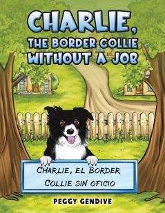 Charlie The Border Collie Without a Job