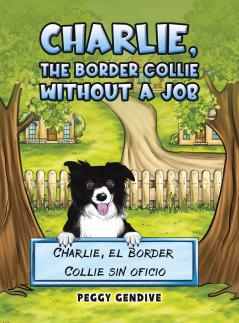 Charlie The Border Collie Without a Job