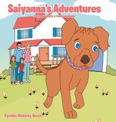 Saiyanna's Adventures