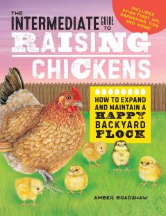 The Intermediate Guide to Raising Chickens