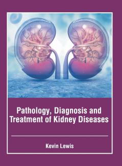 Pathology Diagnosis and Treatment of Kidney Diseases
