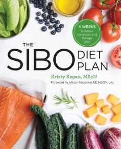 The SIBO Diet Plan