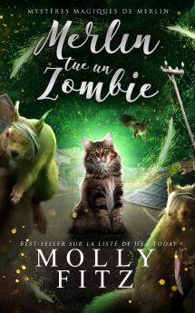 Merlin tue un zombie