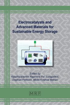 Electrocatalysts and Advanced Materials for Sustainable Energy Storage