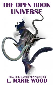 The Open Book Universe