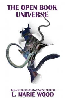 The Open Book Universe