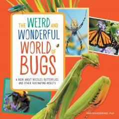 The Weird and Wonderful World of Bugs
