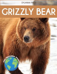 Grizzly Bear