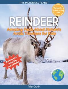 Reindeer