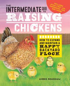 The Intermediate Guide to Raising Chickens