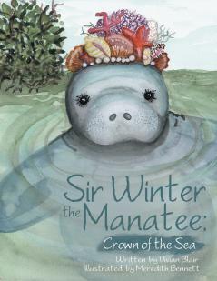 Sir Winter the Manatee