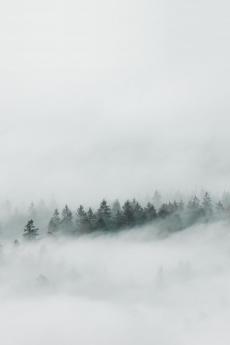 Die Geschichte des Klaus