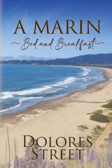 A Marin Bed and Breakfast