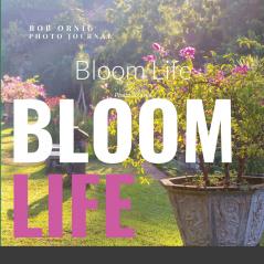 Bloom Life