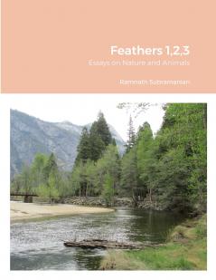 Feathers 123