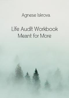 Life Audit Workbook