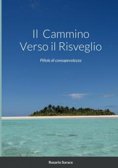 Il  Cammino Verso il Risveglio