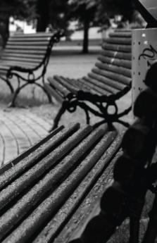 I Will Name You Baran