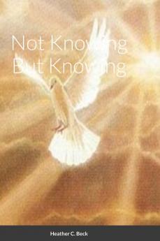 Not Knowing But Knowing
