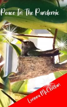 Peace In The Pandemic