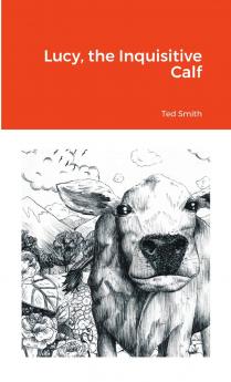 Lucy the Inquisitive Calf